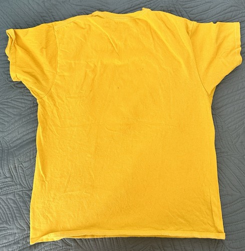 Six Flags Reverse Flash Pre-Owned six flags reverse flash Shirt | eBay