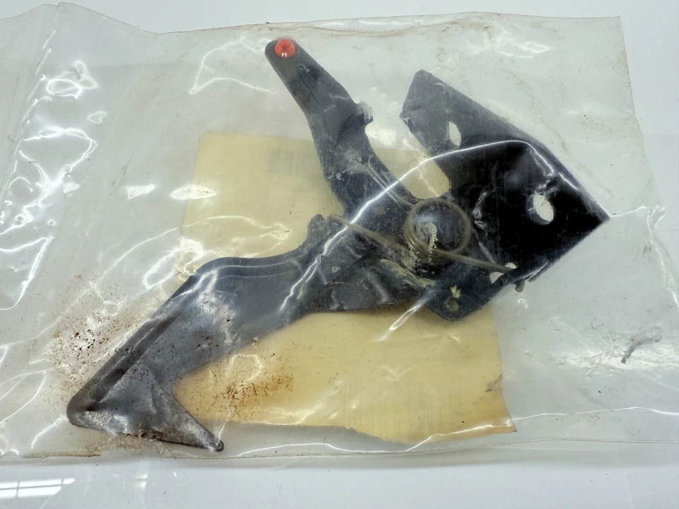 NUEVO OEM 1997-2005 Chevy Oldsmobile Venture Silhouette capó con cierre 10318546 C30-31 Foto 2 de 3