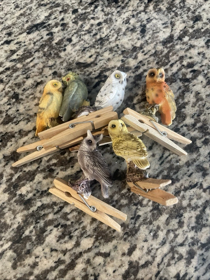 12 Pinzas para Ropa Búho Decoración Primavera Acción Clip Resina Artesanía Corona Tendedero Nuevo Foto 3 de 4