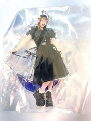 Hikari Noa Acryl Schlüsselanhänger Acrylständer Tokyo Damen Pro-Wrestling
