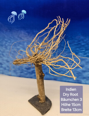 NEU....Indien dry root Aquarium Wurzel Bäumchen
