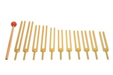 New GOLD 11 Cosmic Planetary Tuning forks healing therapy sound vibration Mallet