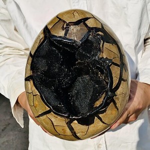 15.4LB Natural Turtle Back Stone Dragon Crystal Cave Crack Gem Healing