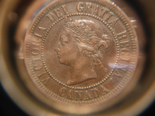 1886 Large One Cent - Obverse # 2 ***** VF - Picture 13 of 14
