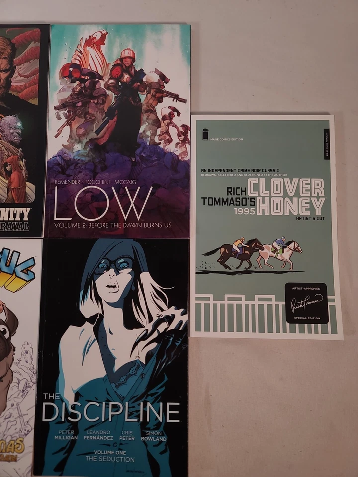 Lote de 7 novelas gráficas Image - Seven to Eternity, Battle pug, Discipline, Low Foto 3 de 4