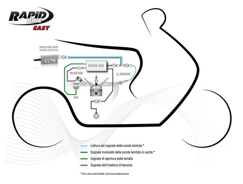 RAPID BIKE EASY CENTRALINA AGGIUNTIVA + CABLAGGI PIAGGIO BEVERLY 400 TOURER 2011 - Imagen 5 de 6