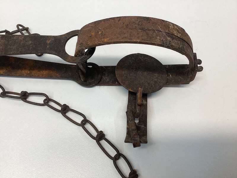 Trap Steel Animal Vintage 3” Jaws Single Spring
