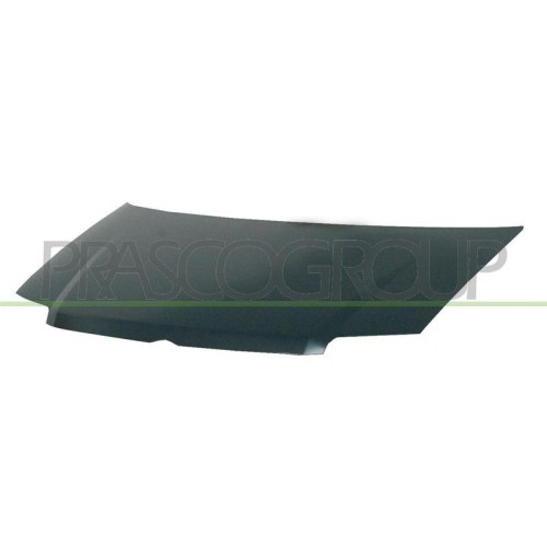 Capot moteur Fiat Prasco FT1223100 pour réparer une carrosserie déformée