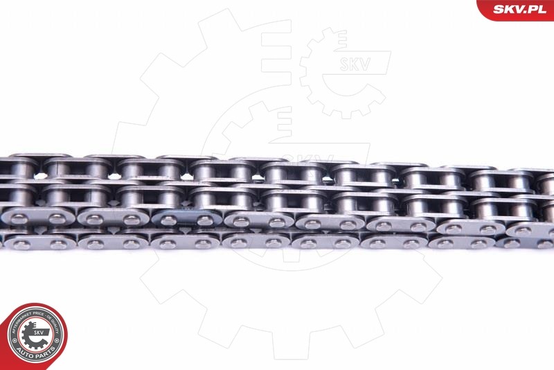 Fits SKV GERMANY 21SKV245 TIMING CHAIN KIT 21SKV245 / 8 ELFORD, ENGIN ⭐UK Stock⭐