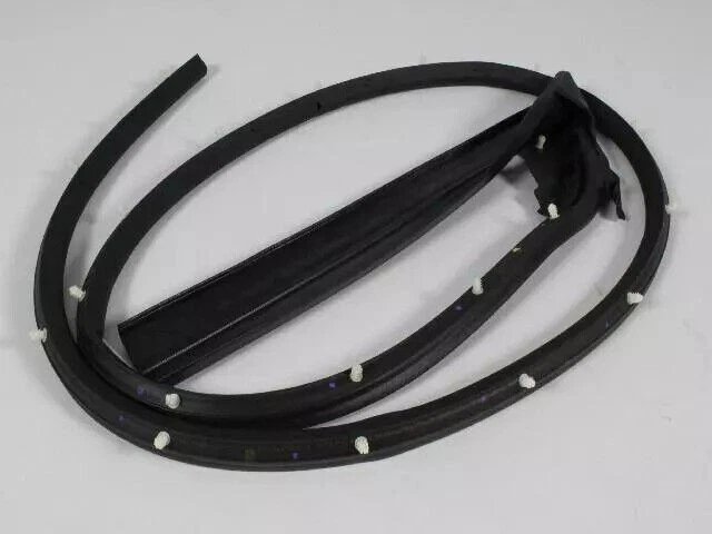 Restricción climática derecha para puerta Dodge Challenger 2008-2023 original Mopar 68067556AB Foto 2 de 3