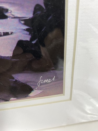 Monica & Michael Sweet Charley Young Beach Giclee Photo Print Hawaii Signed - Picture 3 of 7