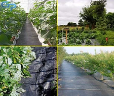 Landscape PP 3/4/5/6*16/33 FT Durable Weed Barrier Planting Fabric Ground Cover