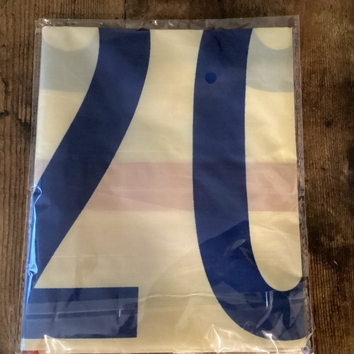 NEW 3/26/26 Philadelphia Phillies SGA 2025 NL East Champions Pennant FLAG BANNER
