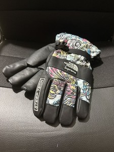 Supreme North Face Gloves | eBay