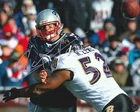 Ray Lewis Signed Autographed Baltimore Ravens 8x10 Photo with COA/Hologram
