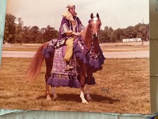 Vintage Arabian Native Costume for Horse and Rider for Parades Horse Shows READ