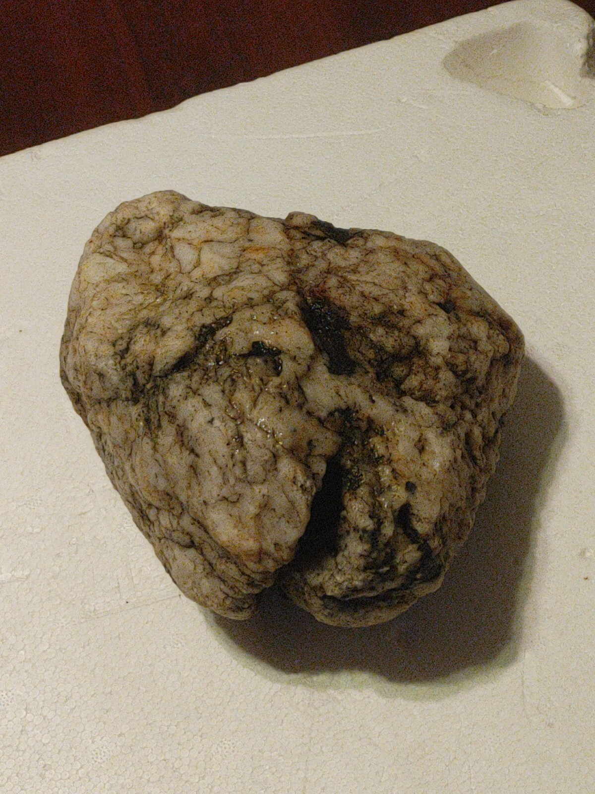 Picture 8 of 10