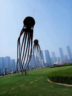3D 15m Black 1 Line Stunt Parafoil Octopus POWER Sport Kite outdoor toy