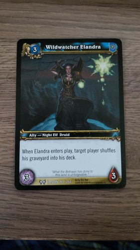 World of Warcraft WoW TCG The Hunt for Illidan Cards /252 - YOU PICK - Picture 32 of 61
