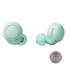 Sony WF-C500 True Wireless Earbuds Ice Green IPX4 Waterproof Lightweight 5.4g