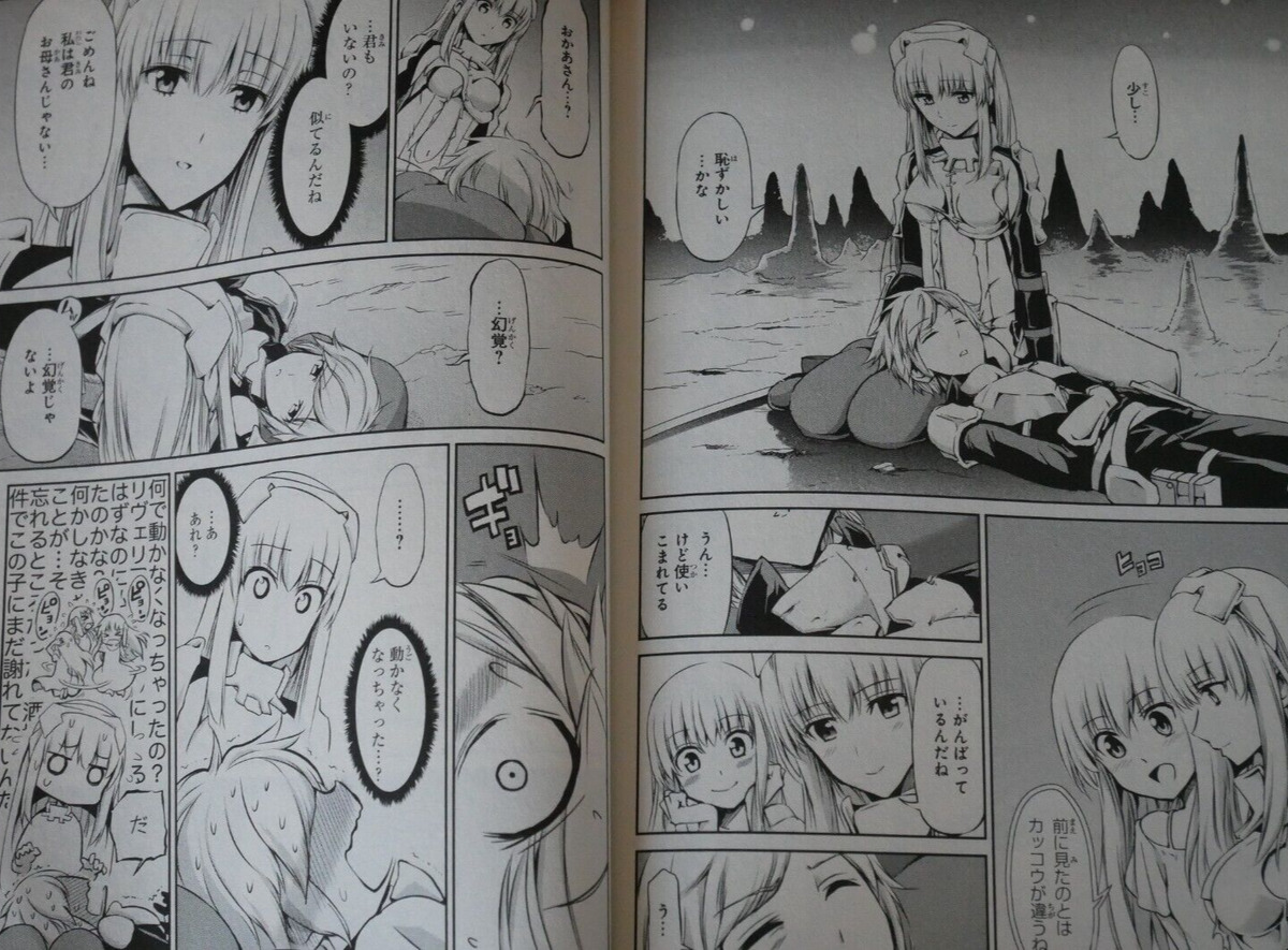 Danmachi:Sword Oratoria Vol.24 Japanese Language Manga Book Comic