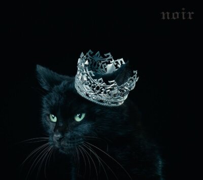 [CD+Blu-ray] BEST SELECTION noir First Limited Edition Type A Aimer SECL-2144