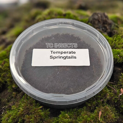 #ad Springtails Coco Temperate 8oz Live Arrival amp; FREE SHIPPING NATIONWIDE $14.99