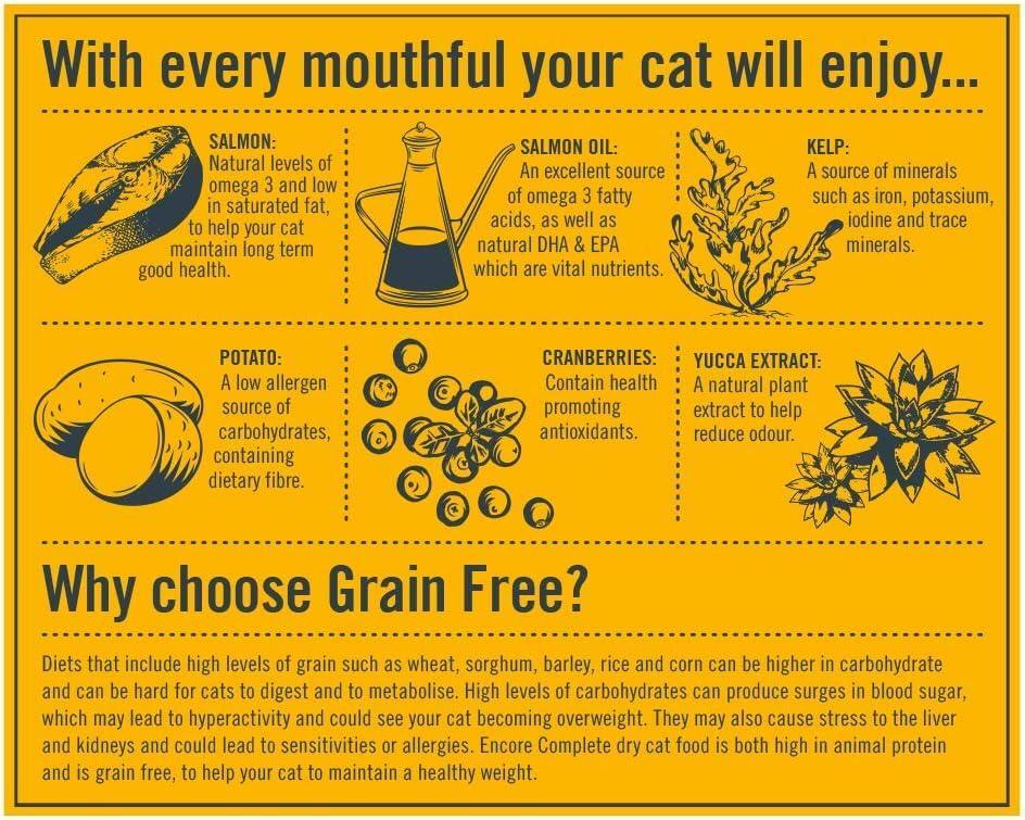 Encore Grain Free Dry Food for Adult Cats with Chicken 800g (Pack