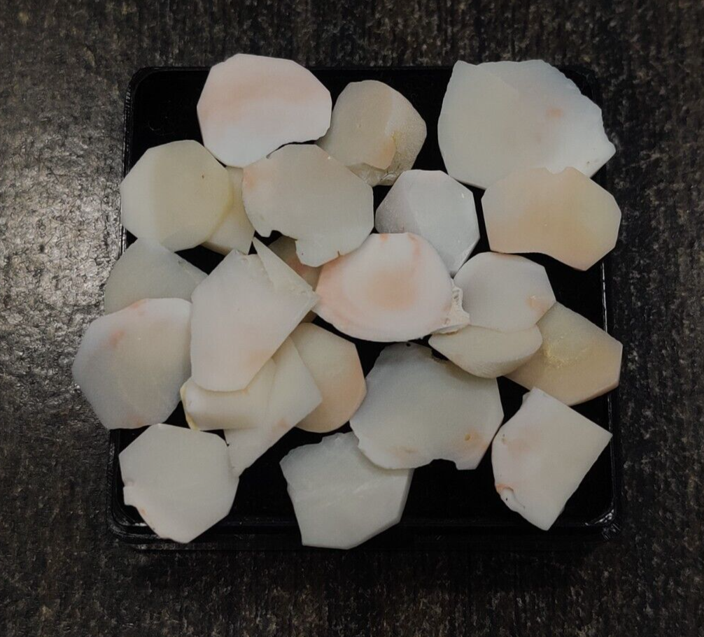 Vintage White Coral Loose Rough Unpolished Chip-White Pink Coral