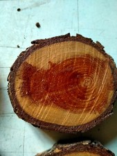 Blocchi Di Legno Di Pino Non Finiti 4x4x4 Cm – 12 Cubi Naturali Per Artigianato, Puzzle, Decorazioni E Fai-da-te