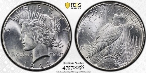 1928 P PEACE PCGS MS64! BLAST WHITE BLAZER$$ WHITE AS WHITE! SO FROSTY NR #64483