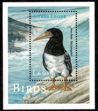 Sierra Leone 2000 - Birds - Souvenir Stamp Sheet - Scott 2304 - Mnh