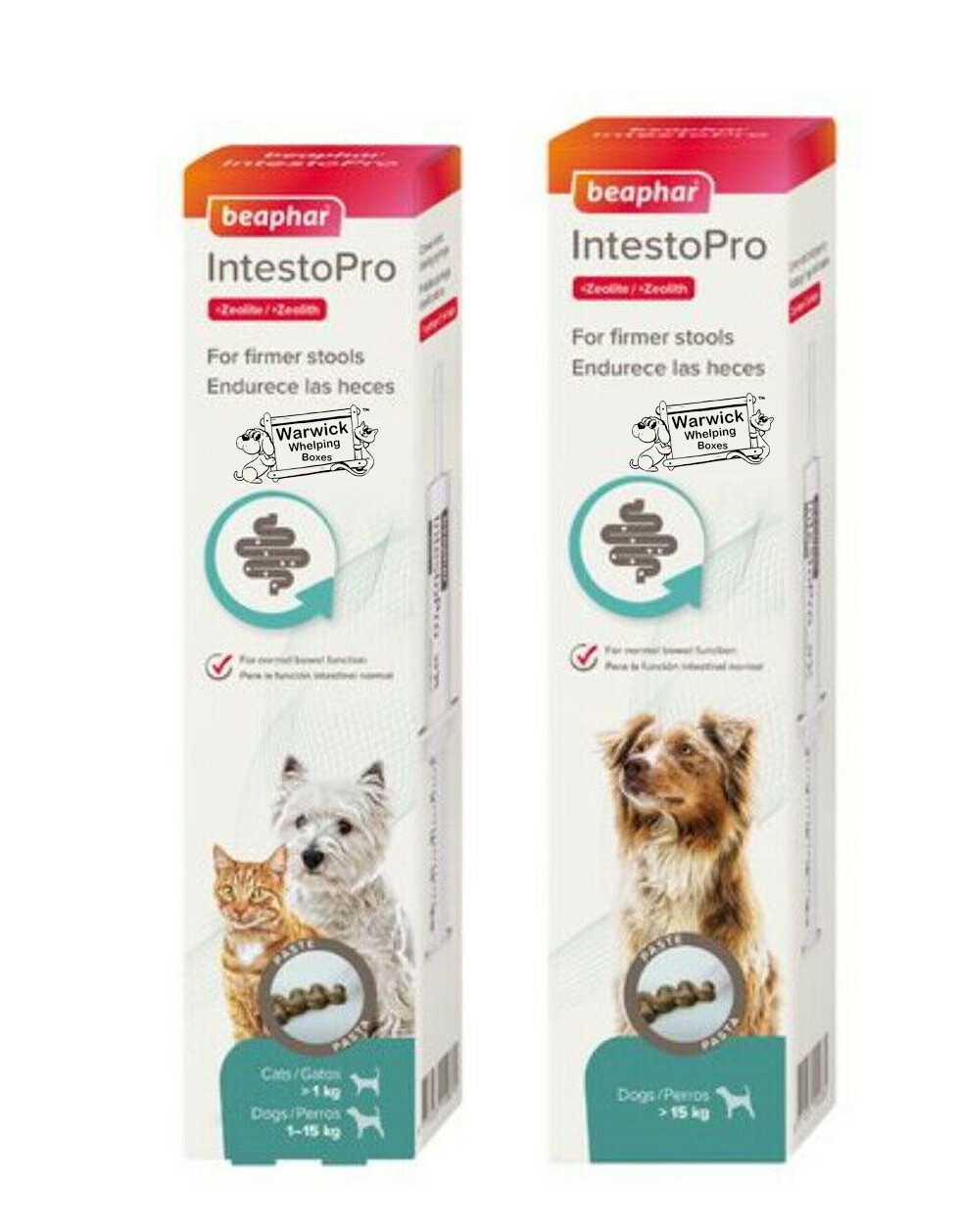 How To Treat Upset Stomach For Dogs