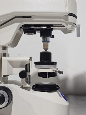 Zeiss Axioskop 2 FS plus Water Immersion DIC Fluorescence