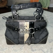 VINTAGE Collector COACH 10284 Signature Python Stripe Handbag