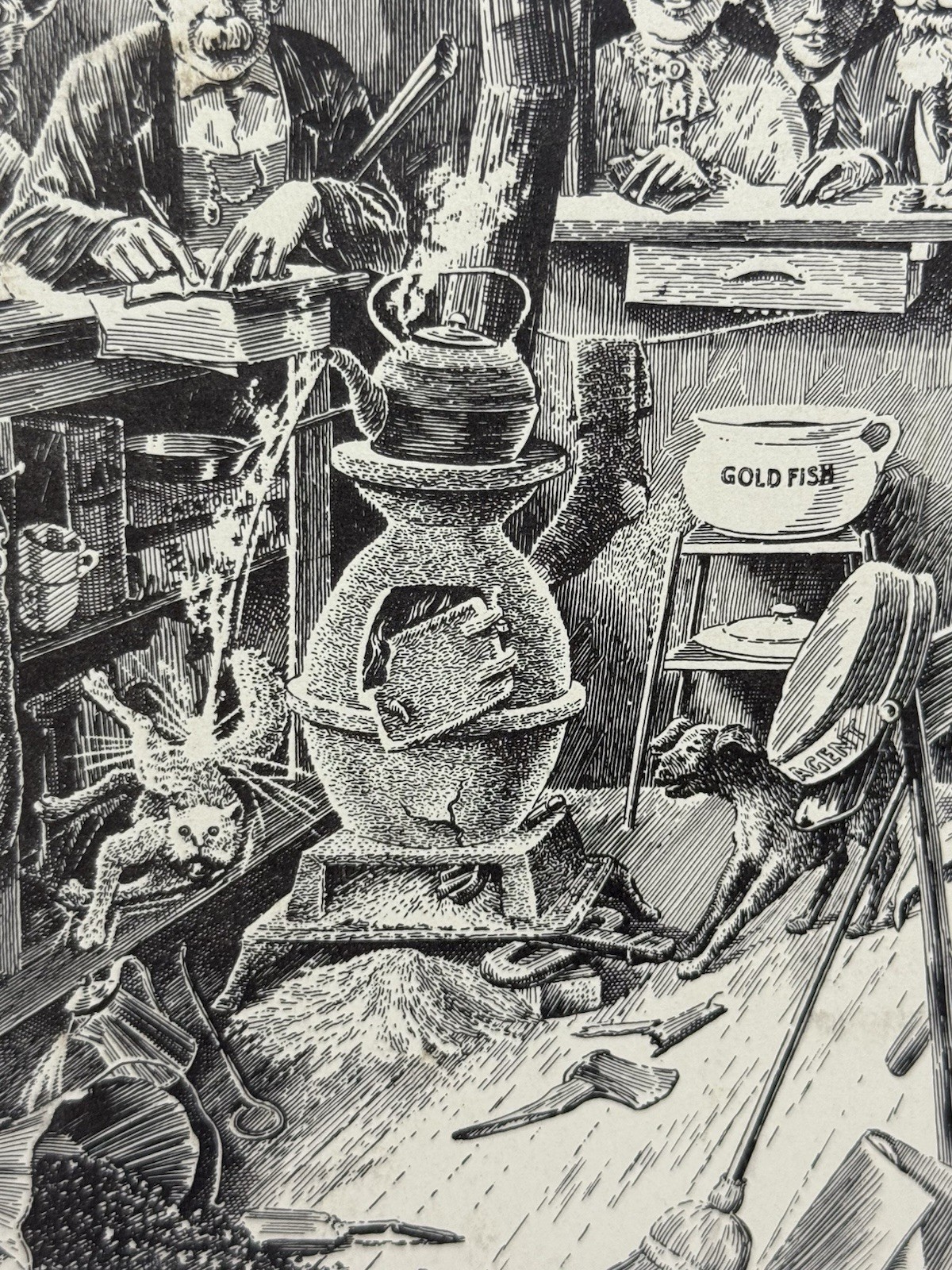 Picture 10 of 13