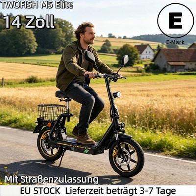  TWOFISH 14'' Elektroroller Mit Sitz,Mit Straßenzulassung&EEC 48V Elektro-Roller