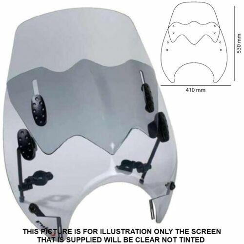 ゆう プロフあり PUIG R-RACER SCREEN COMPATIBLE FOR DUCATI PANIGALE V4 1100 2025