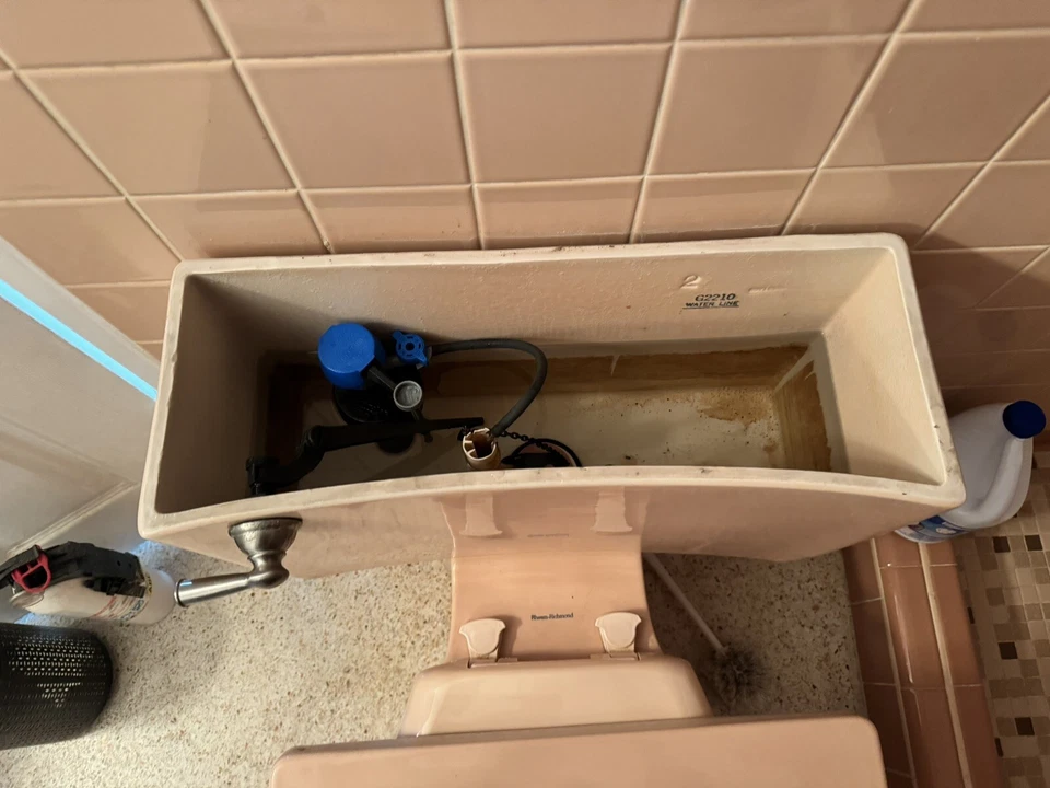 Antigo Vaso Sanitário Completo de Porcelana Rosa Meio Século Rheem Richmond - Conjunto Completo - Imagem 3 de 4