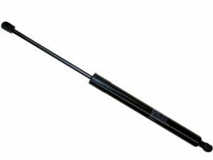 strut liftgate
