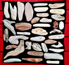 Natural Driftwood Pieces From Oregon Beaches 18
