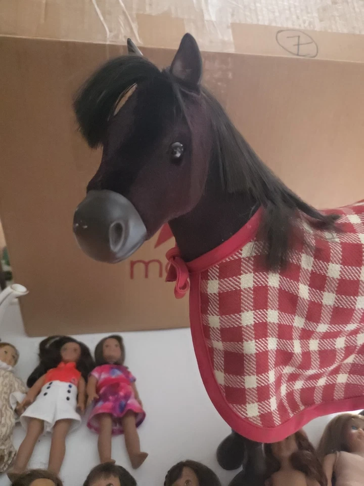 lote muñeca chica americana Foto 2 de 4