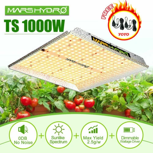 Hydrokultur-Leuchtdioden (LED)
