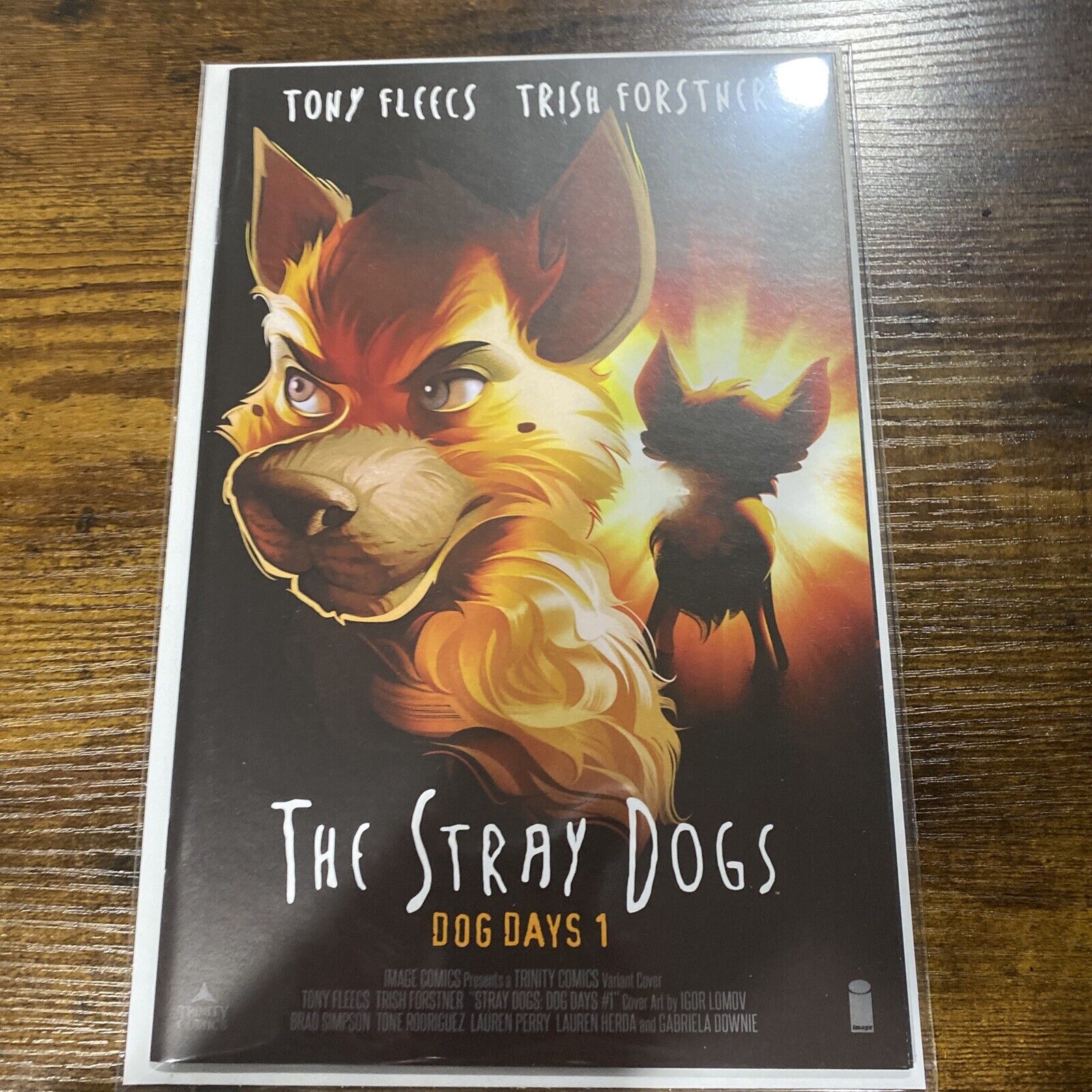 Stray Dogs Dog Days #1 * NM+ * Igor Lomov 6th Sixth Sense Homage Trinity Variant