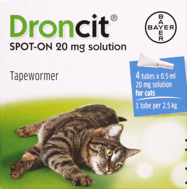 Droncit SpotOn Cat Tapewormer 20mg (003499) for sale online eBay