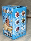 🩵🌿  Capybara Cuteness Overload Gift Box!🌿🩵 — photo 4