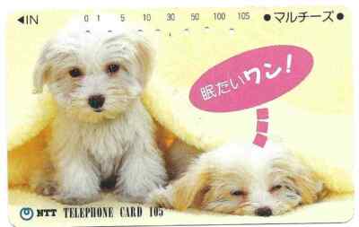2020/29 Card Telefonbuch Gebraucht Phonecard Japan JP-330-320 Puppies Under