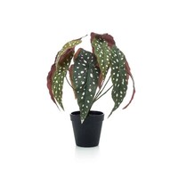 KüNstliche Begonie Im Topf H. 33Cm GrüN Emerald GrüNpflanze