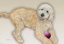 Doodle Birthday Card 5 x 7 with Envelope