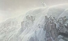 Robert Bateman Arctic Cliff White Wolves S/N Canvas Giclee Signed MINT 40 X 64